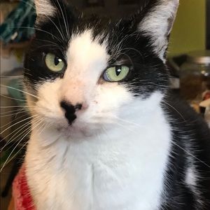 Meet your Posher, Dirk